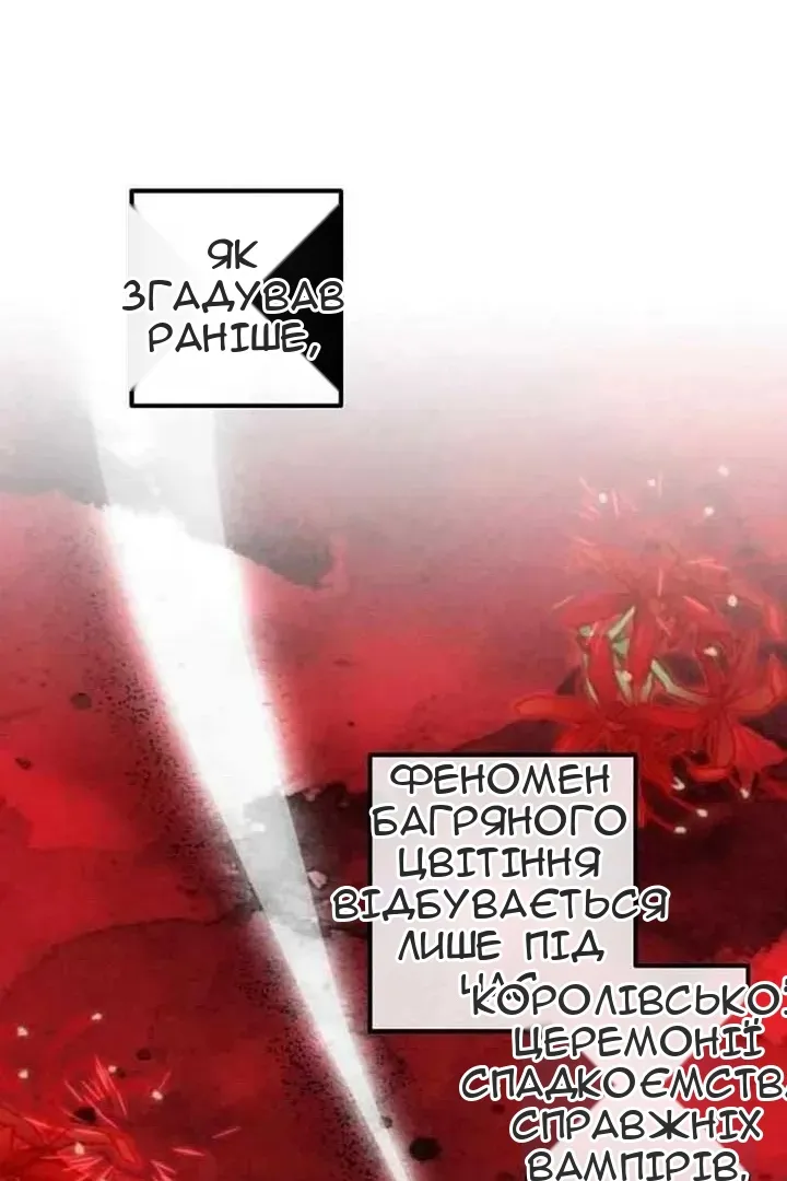 Сторінка 11
