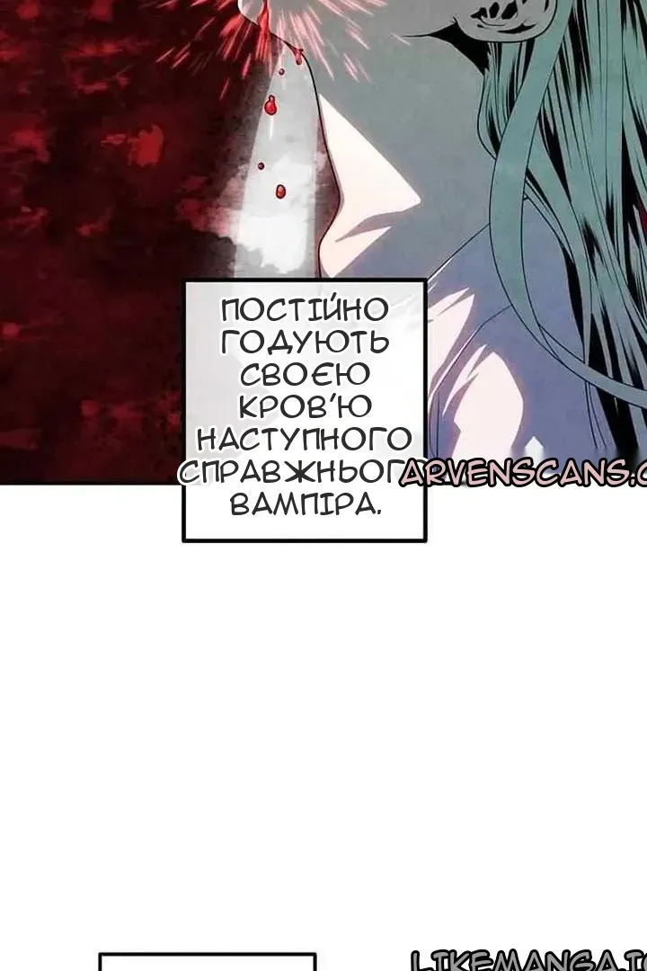 Сторінка 13