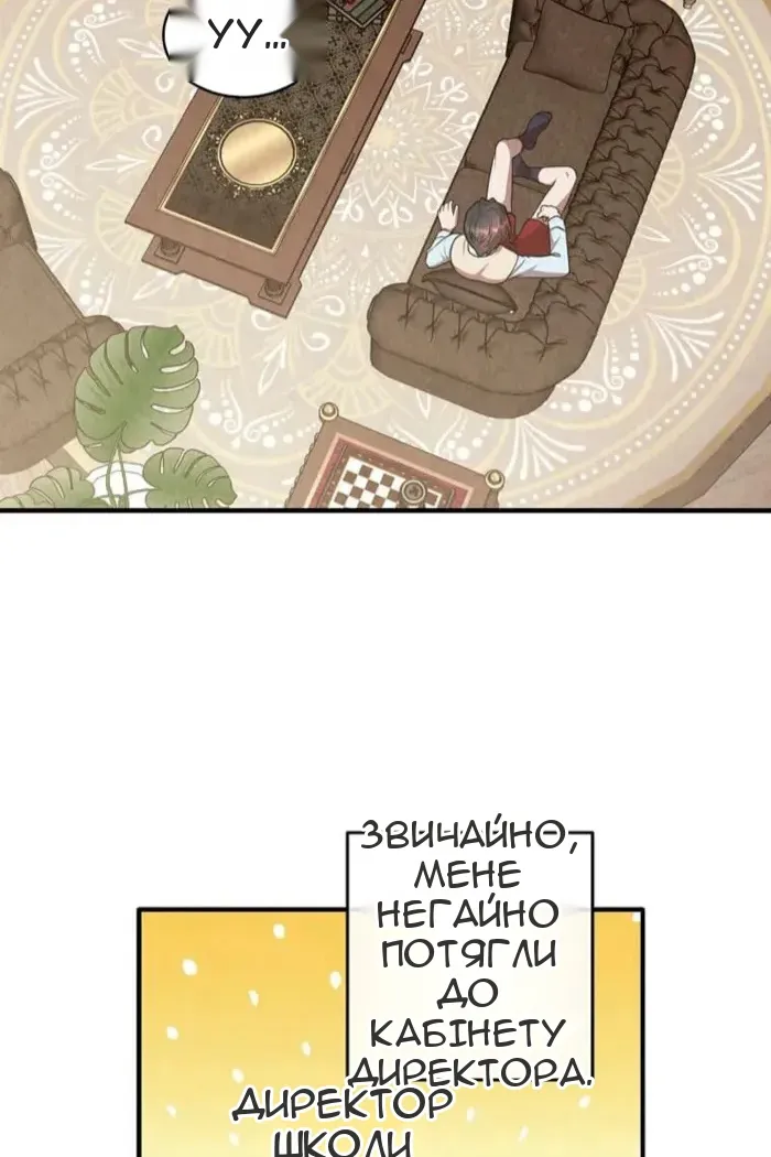 Сторінка 29