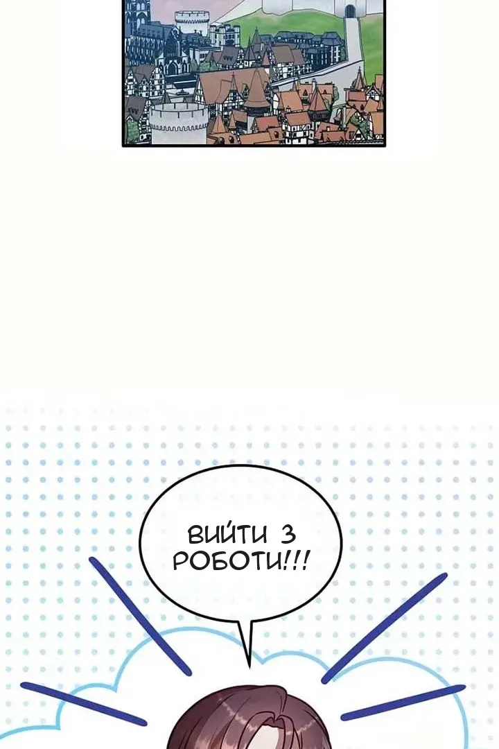 Сторінка 17
