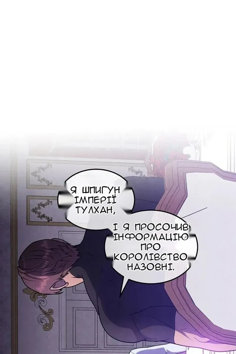 Сторінка 17