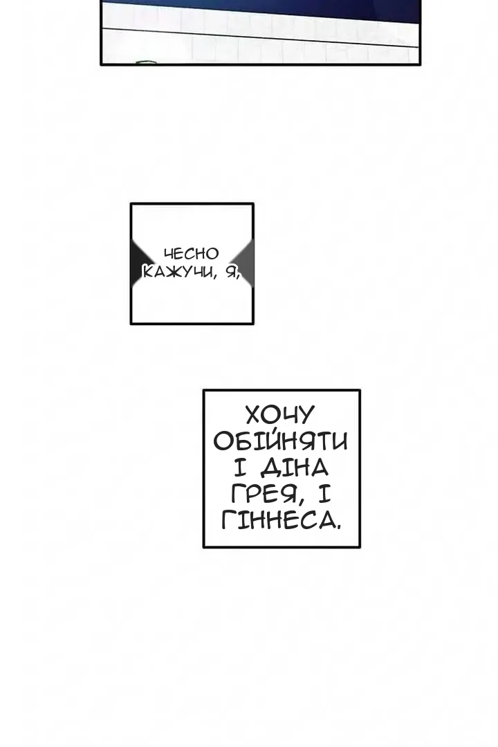 Сторінка 33