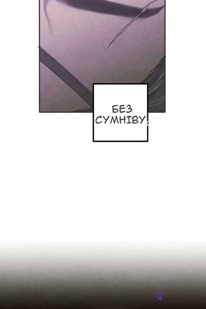 Сторінка 8
