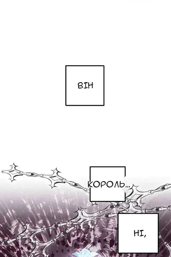 Сторінка 11