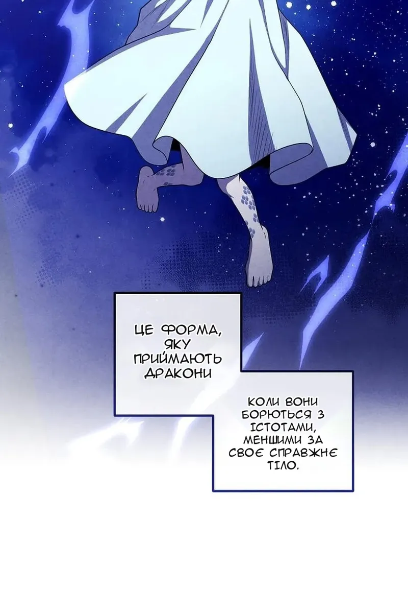 Сторінка 17