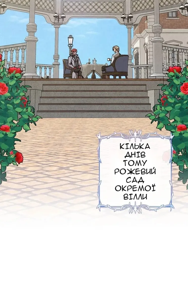 Сторінка 5