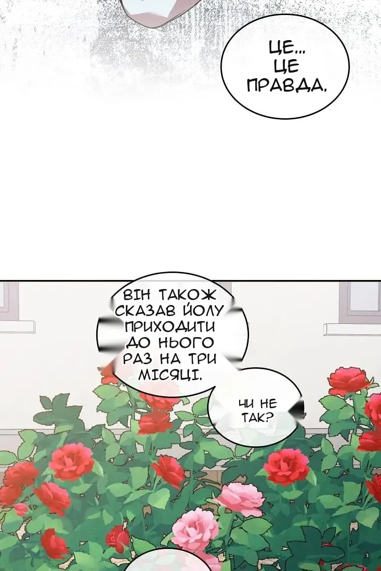 Сторінка 12