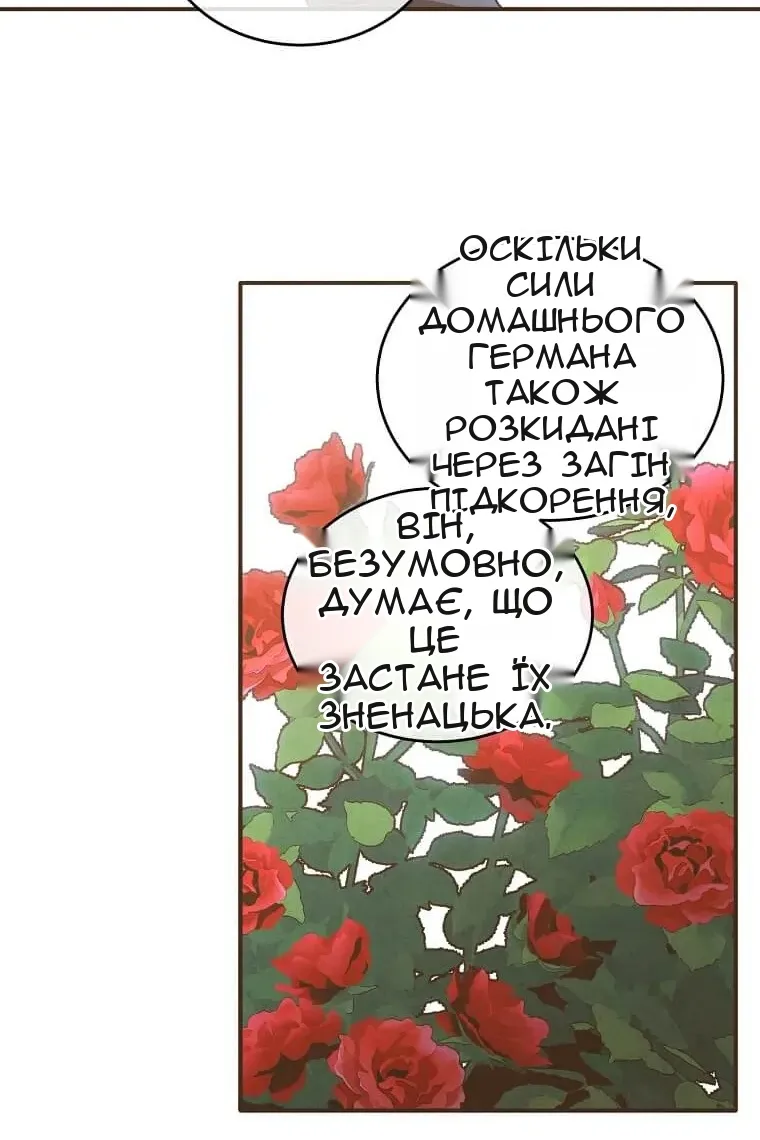Сторінка 48