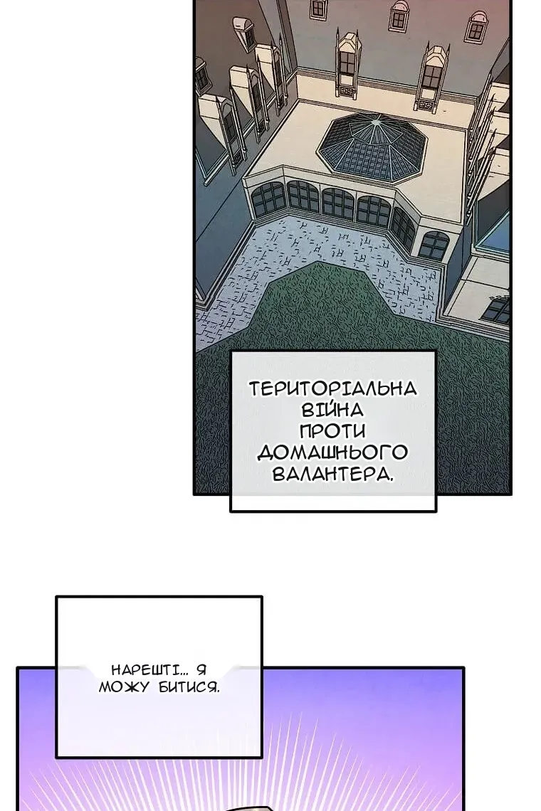 Сторінка 8